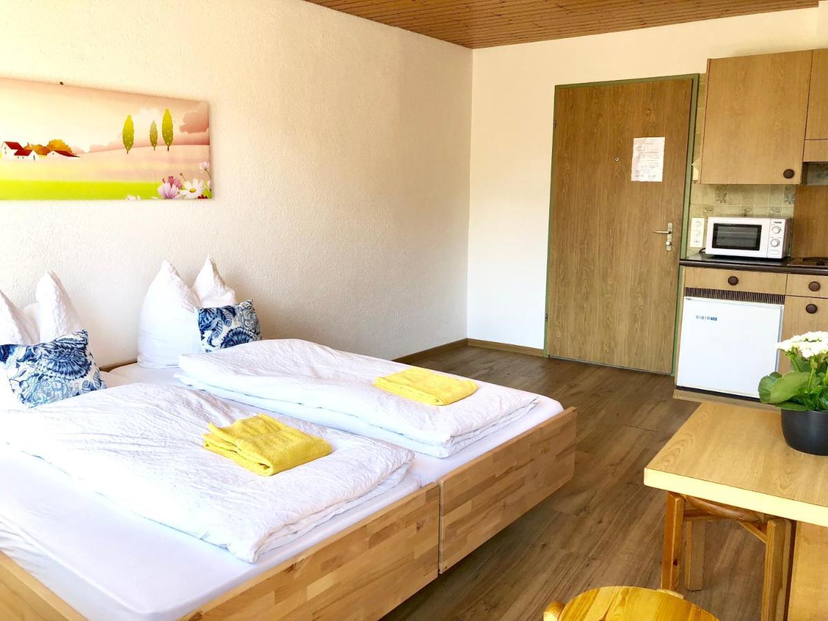 Central Beauty Scenery Apartment Интерлакен Екстериор снимка