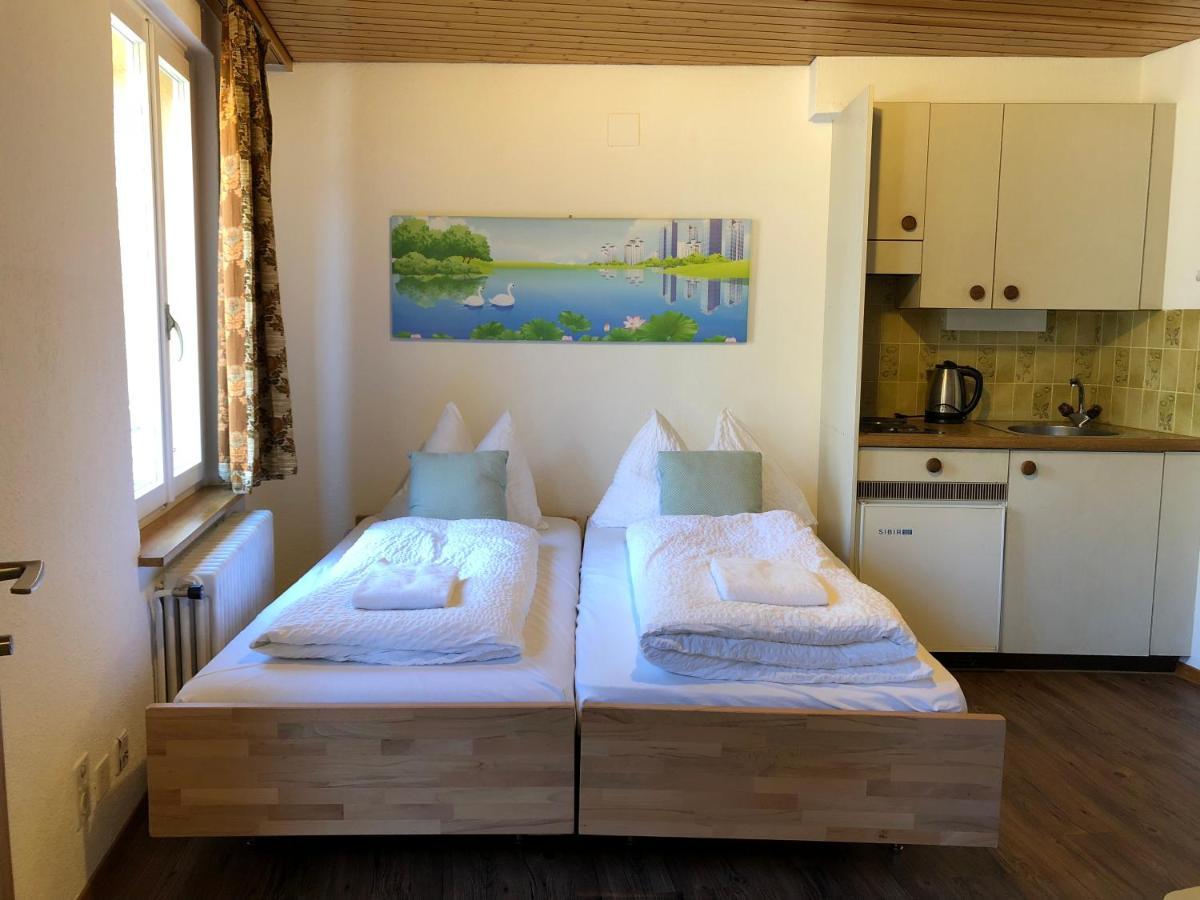 Central Beauty Scenery Apartment Интерлакен Екстериор снимка