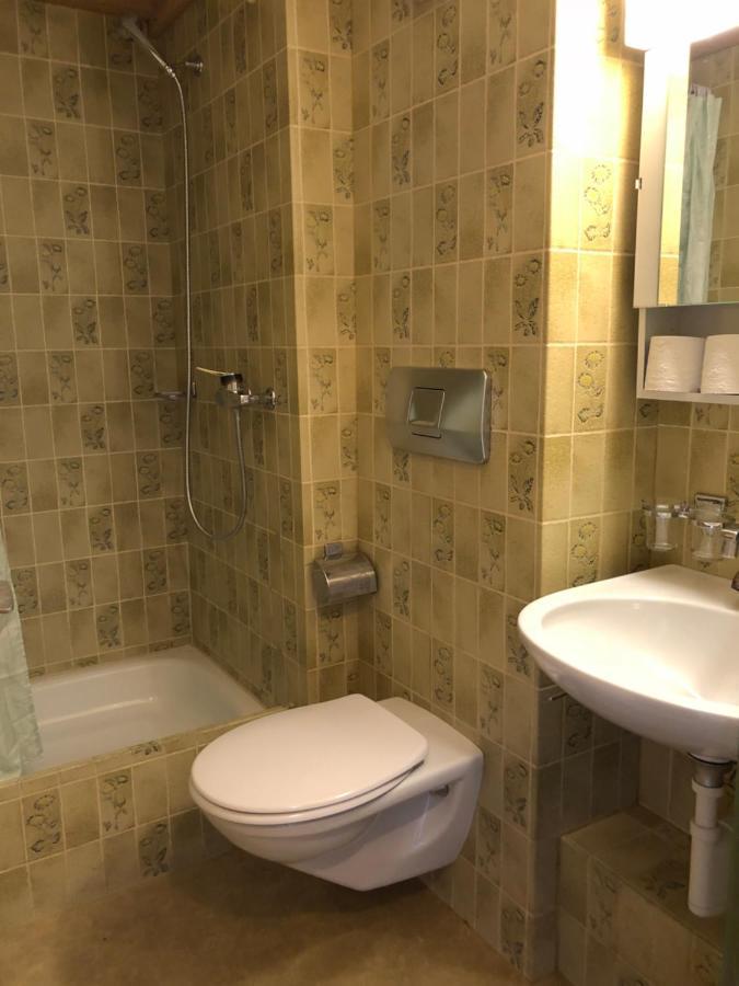 Central Beauty Scenery Apartment Интерлакен Екстериор снимка
