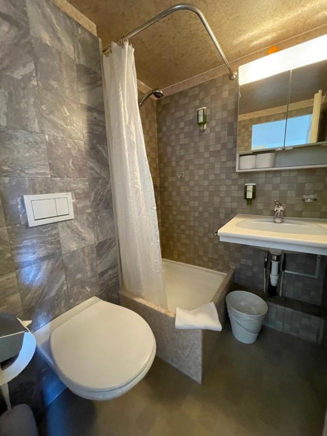 Central Beauty Scenery Apartment Интерлакен Екстериор снимка