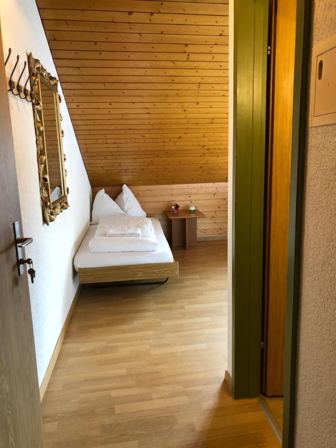 Central Beauty Scenery Apartment Интерлакен Екстериор снимка